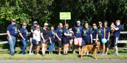 Fundraising Page Image