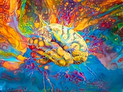 Fundraising Page Image